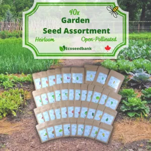 40x Garden Seed Assortment