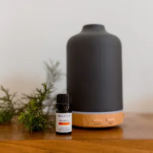 Armor Essential Oil Blend