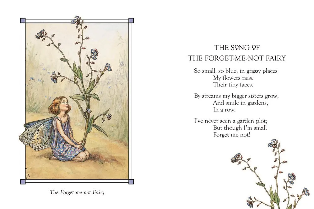 Flower Fairies of the Summer