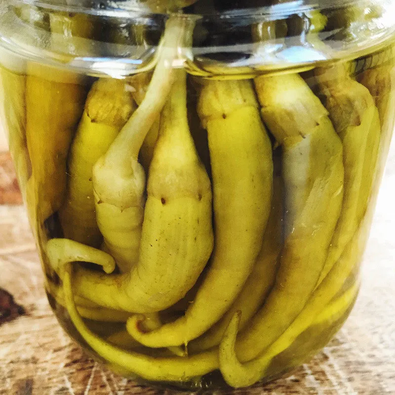 Guindilla Peppers