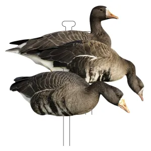 Higdon FLATS Specklebelly Goose Standard Silhouette Decoys 12 Pack