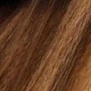 Outre Synthetic Swiss HD Lace Front Wig - AVIANNA