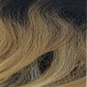 Outre Synthetic Swiss HD Lace Front Wig - TEAGAN