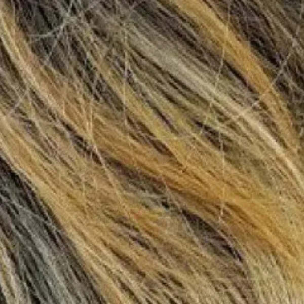 Zury Sis Beyond Synthetic Hair Lace Front Wig - BYD LACE H MARIS